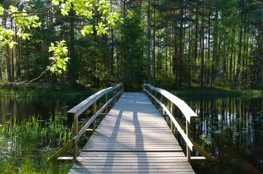 Unohtumaton retki Nuuksion kansallispuistoon – vinkit ja reittisuositukset